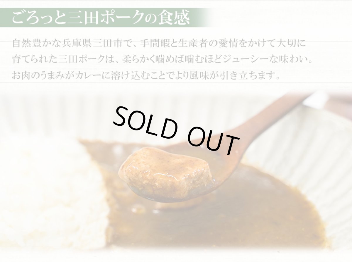 画像6: 低糖質食品 朝倉山椒が香る 三田ポークカレー 180g レトルトカレー (6)
