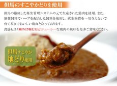 画像8: 減塩 レトルト 本枯鰹の和風だし香るチキンカレー 180ｇ但馬すこやか地どり 本枯鰹 常温保存 塩分控えめ (8)