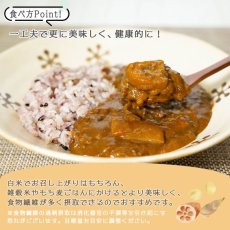 画像10: 食物繊維豊富 大豆ミートのキーマ風カレー 180ｇ たけのこ れんこん入りレトルトカレー (10)