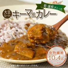 画像5: 食物繊維豊富 大豆ミートのキーマ風カレー 180ｇ たけのこ れんこん入りレトルトカレー (5)