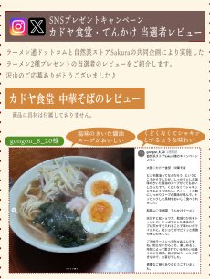 画像7: ご当地 ラーメン 有名店 3種9食詰め合わせセット　家系ラーメン吉村家、大阪ラーメン カドヤ食堂、和歌山ラーメン 玉林園てんかけ (7)