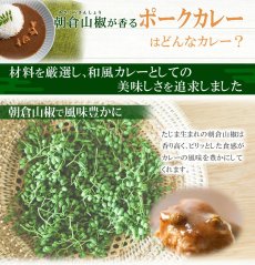 画像5: 【訳あり・食品ロス削減】低糖質 朝倉山椒が香る ポークカレー 180g X 4個 レトルトカレー【お試し ゆうパケット便 送料無料】 (5)