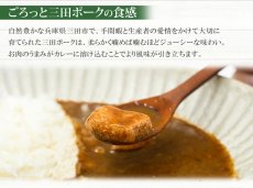 画像6: 【訳あり・食品ロス削減】低糖質 朝倉山椒が香る ポークカレー 180g X 4個 レトルトカレー【お試し ゆうパケット便 送料無料】 (6)