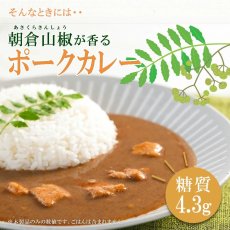 画像1: 【訳あり・食品ロス削減】低糖質 朝倉山椒が香る ポークカレー 180g X 4個 レトルトカレー【お試し ゆうパケット便 送料無料】 (1)