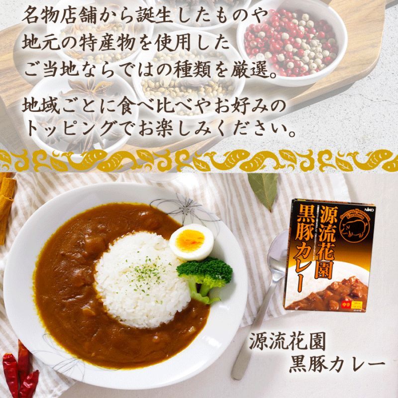 ご当地カレー　ラーメン10種ギフトセットのラーメン通販