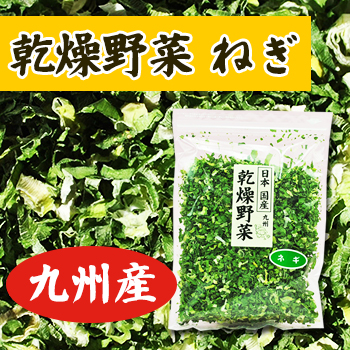 乾燥野菜 国産 九州産 ねぎ 30ｇ