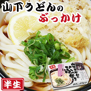 山下うどん  ぶっかけうどん  讃岐うどん2食入（半生麺、箱）