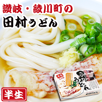 画像1: 田村うどん　讃岐手打ちうどん2食入  半生麺、箱入 (1)