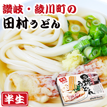 田村うどん　讃岐手打ちうどん2食入  半生麺、箱入